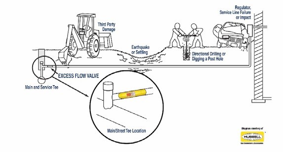 EFV diagram